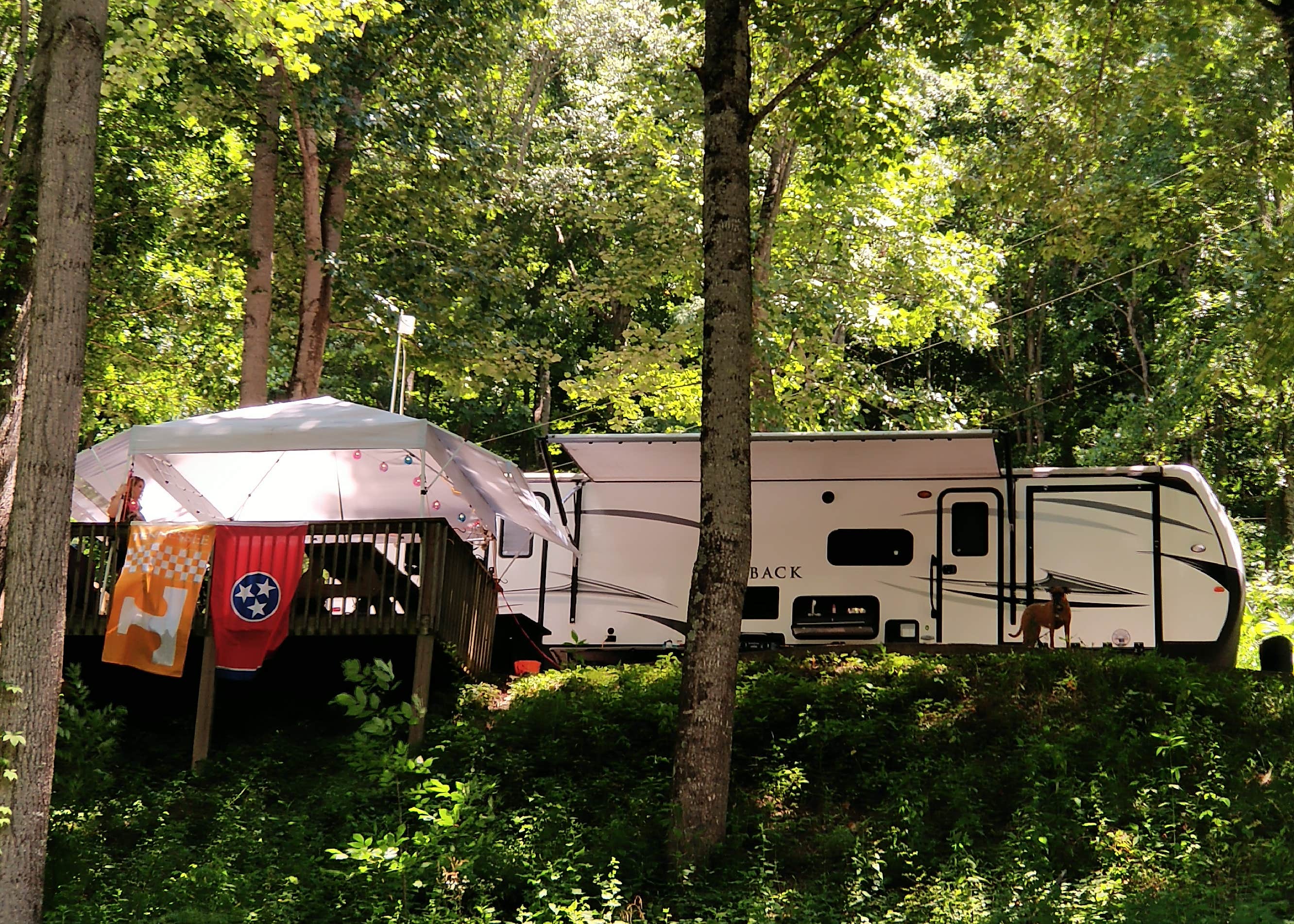 Plumtree Campground & Retreat Camping The Dyrt