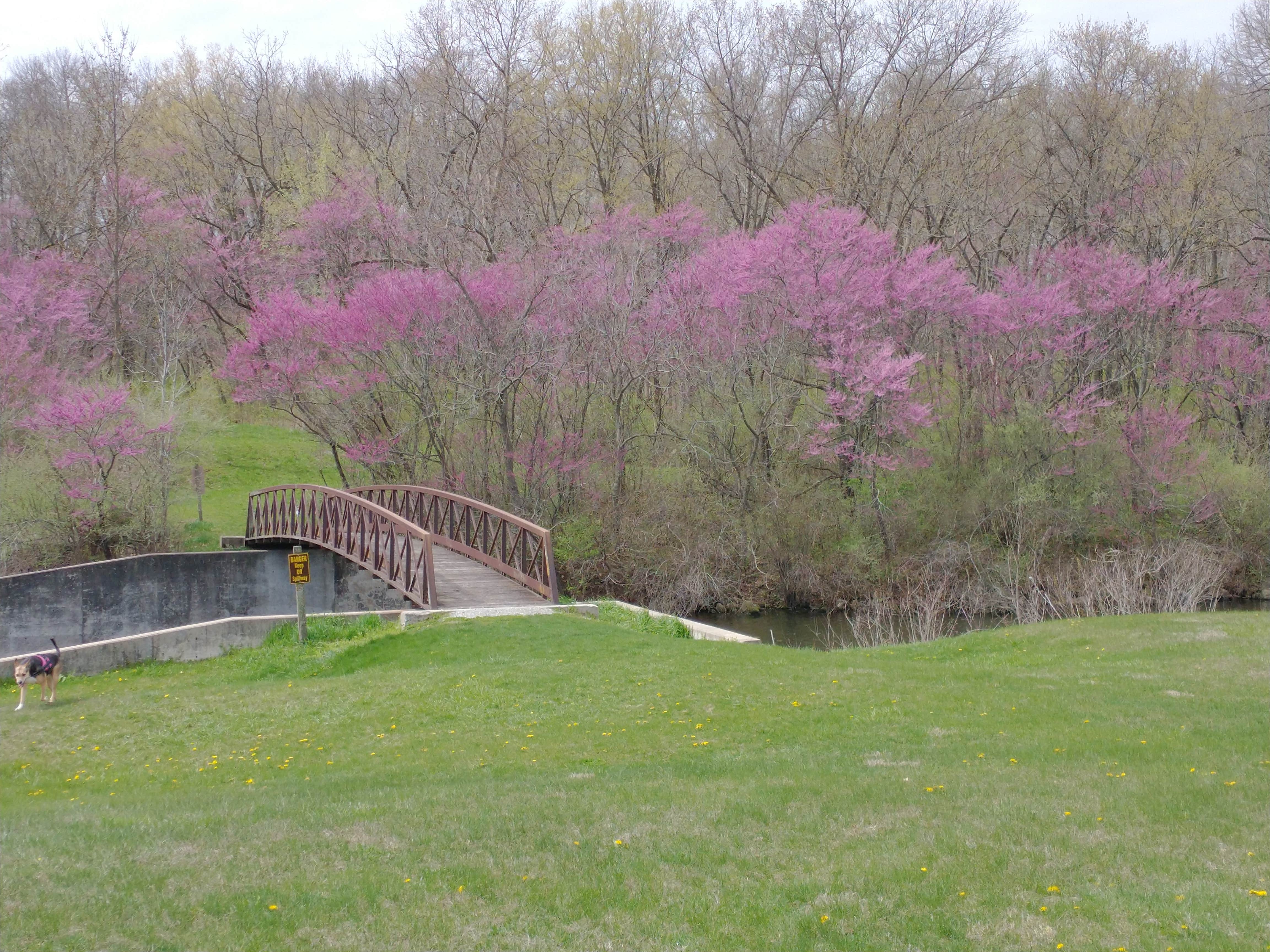 Camper-submitted photo at Lake of Three Fires State Park Campground near Corning, IA