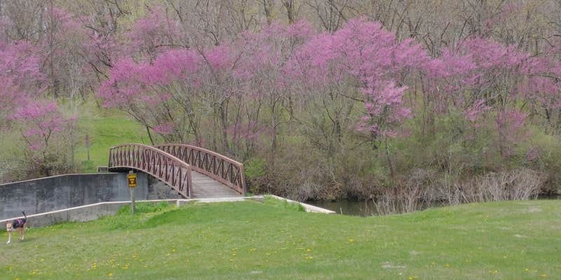 Camper submitted image from Lake of Three Fires State Park Campground