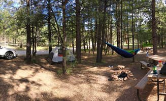 Kelsey L.'s photo at Kaibab Camper Village near Jacob Lake, AZ