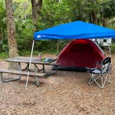 Review photo of Kathryn Abbey Hanna Park by Alison , April 20, 2021