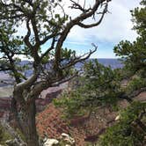 Review photo of Kaibab Camper Village by Kelsey L., May 31, 2018