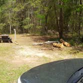 Review photo of Blue Hole Campground — Florida Caverns State Park by Bridgit L., April 20, 2021