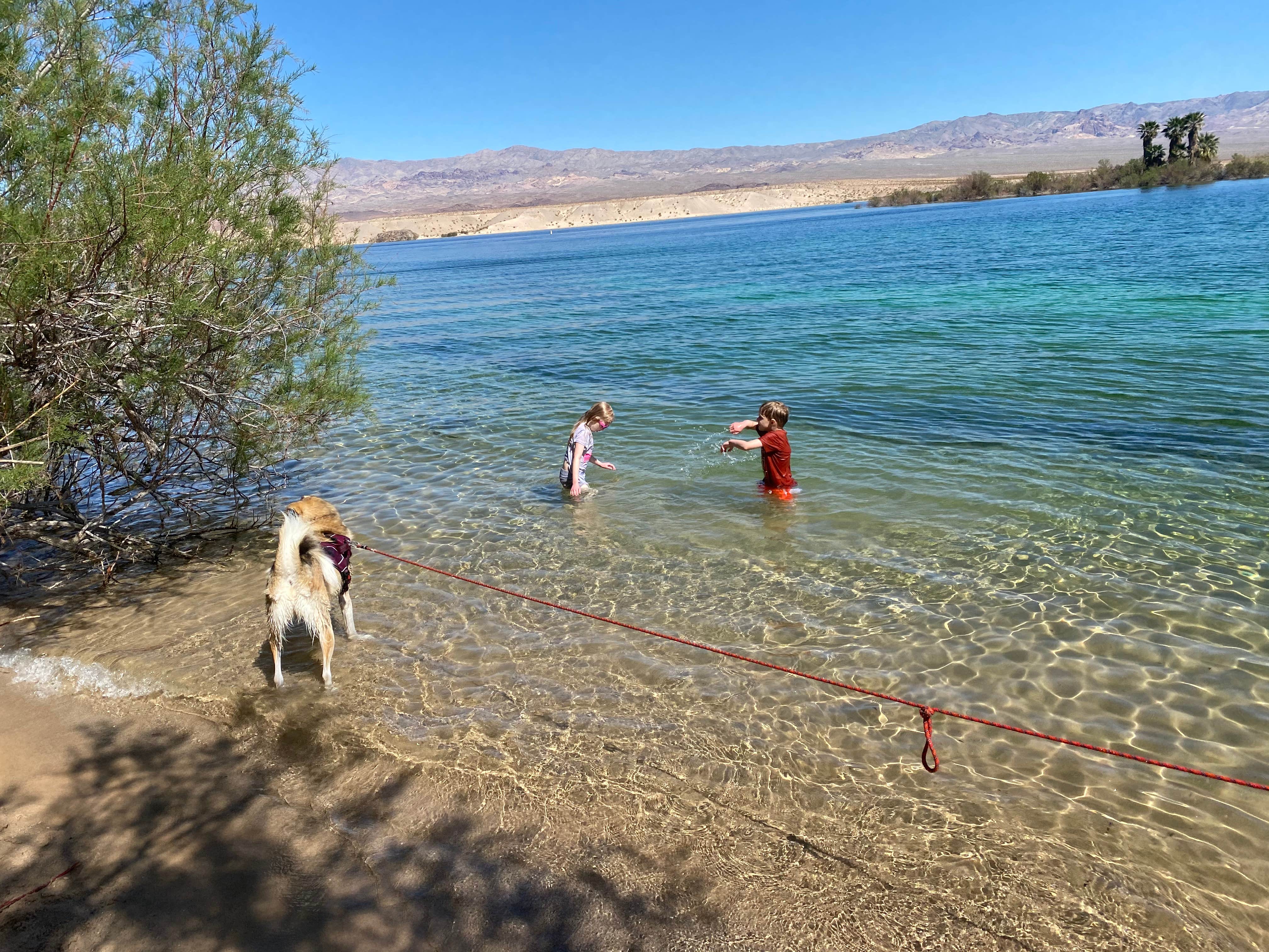 Dilsah T.'s photo of camping with pets at Cottonwood Cove Campground — Lake Mead National Recreation Area near Laughlin, NV
