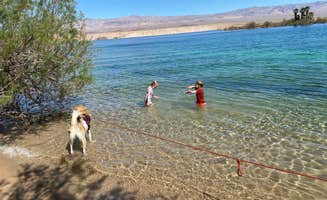 Dilsah T.'s photo of camping with pets at Cottonwood Cove Campground — Lake Mead National Recreation Area near Willow Beach, AZ