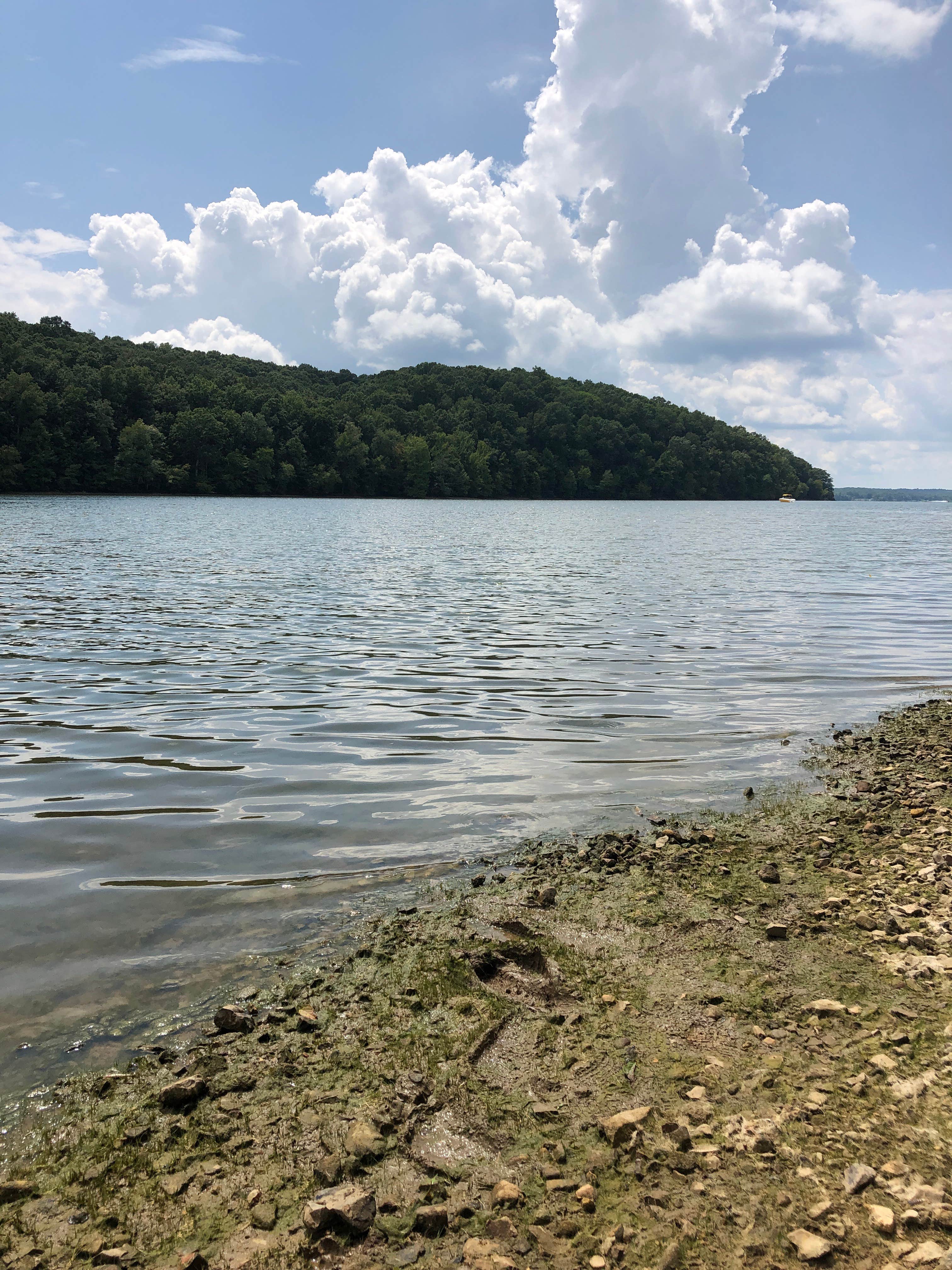 Ginger Bay Camping Area The Dyrt