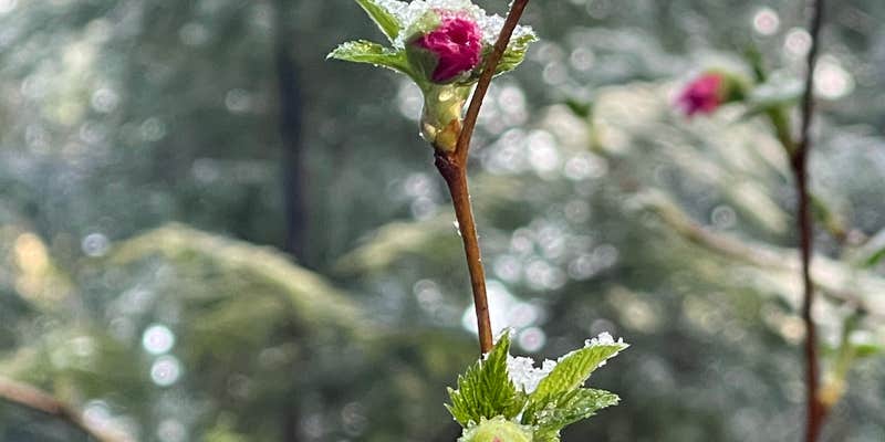 Camper submitted image from Bear Creek Campground