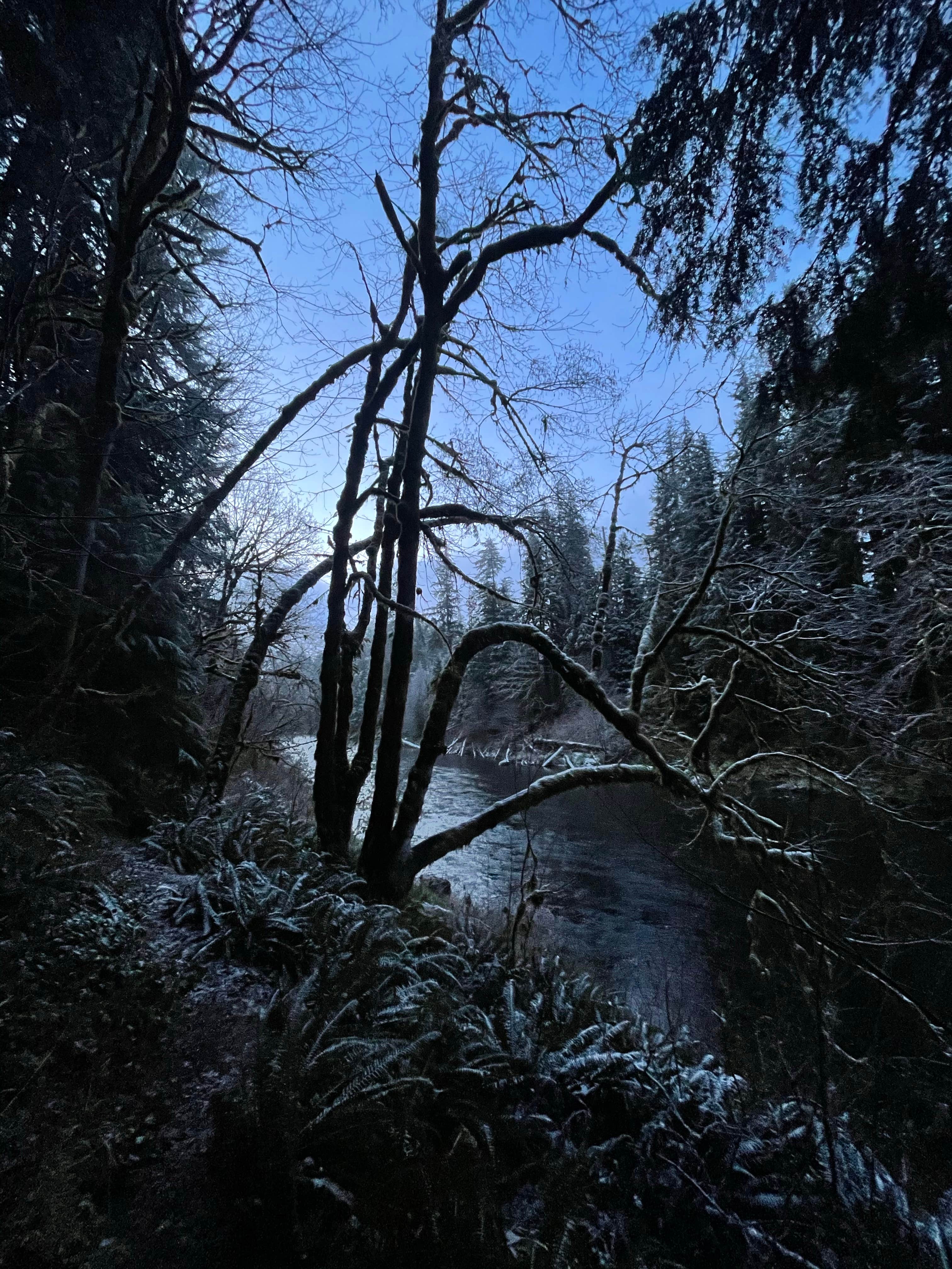 Camper-submitted photo at Bear Creek Campground near Clallam Bay, WA