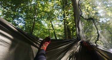 Chopawamsic Backcountry Area Primitive Campsites