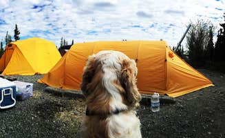 Angie G.'s photo at Lake Louise State Rec Area near Copper Center, AK