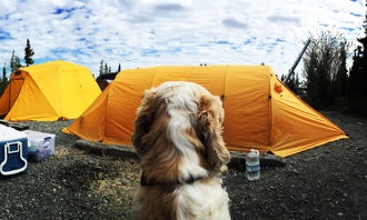 Camping near Grand View RV  Park - Camping - Cafe: Lake Louise State Rec Area, Glennallen, Alaska