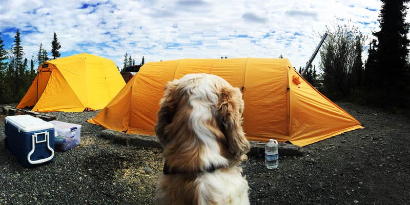Camper submitted image from Lake Louise State Rec Area