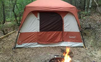 Heather W.'s photo at Ash Grove near Pisgah Forest, NC