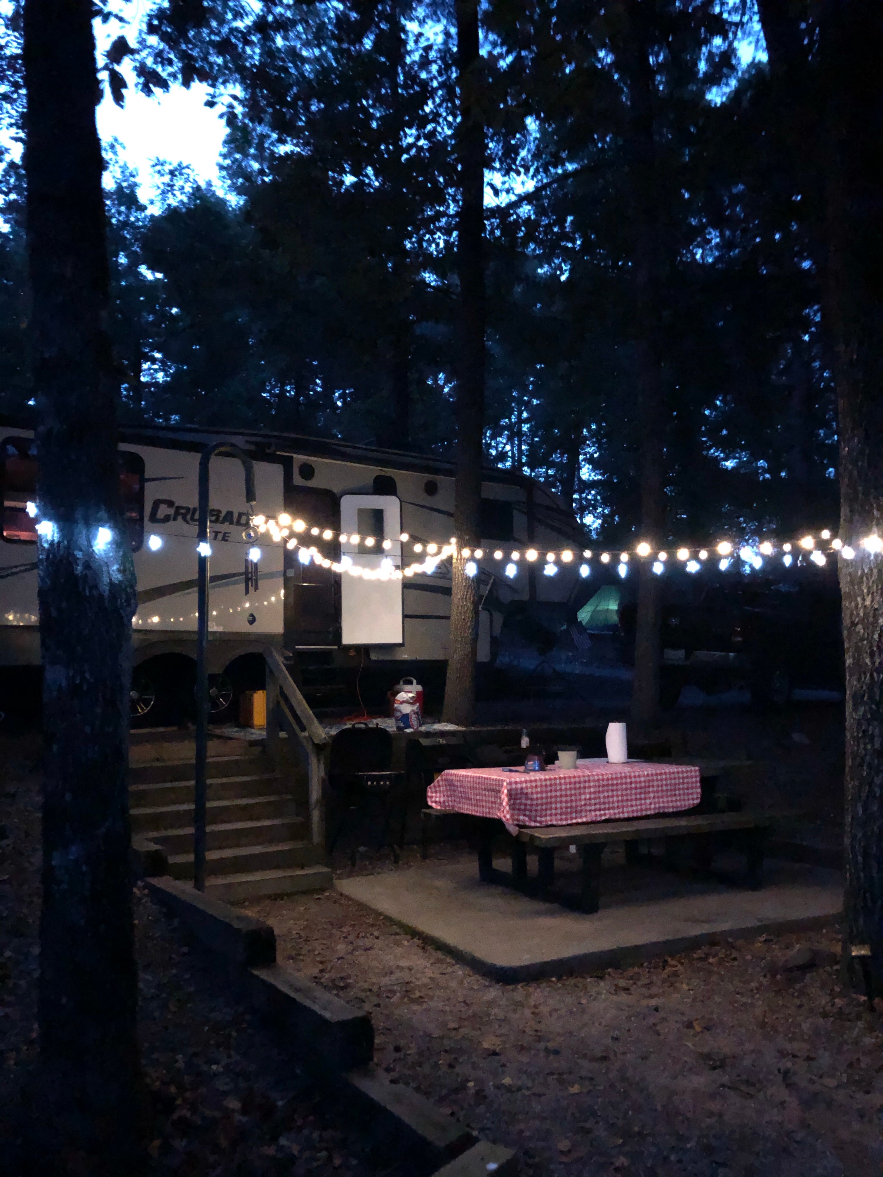 Camper submitted image from Daisy State Park Campground - 1
