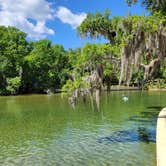 Review photo of Salt Springs Recreation Area by Yankee D., April 20, 2021