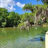 Review photo of Salt Springs Recreation Area by Yankee D., April 20, 2021