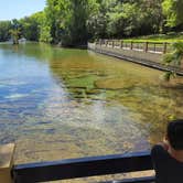 Review photo of Salt Springs Recreation Area by Yankee D., April 20, 2021