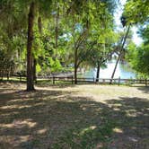 Review photo of Salt Springs Recreation Area by Yankee D., April 20, 2021