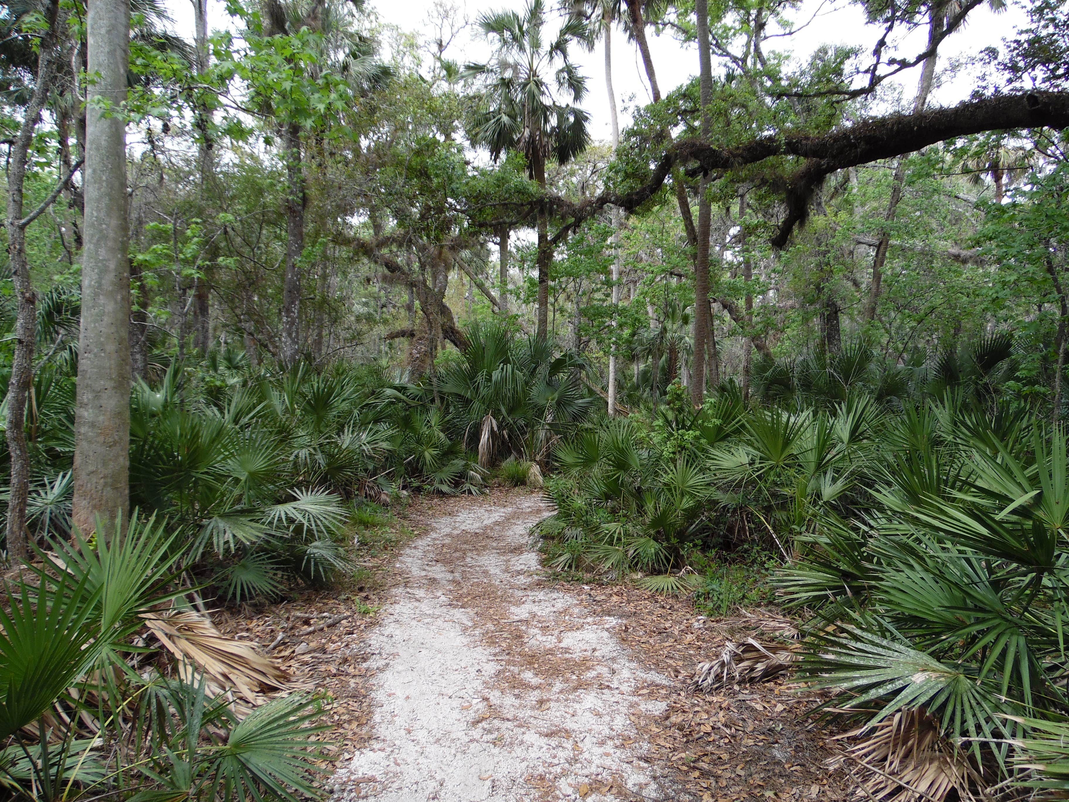 Camper submitted image from Black Bear Wilderness Area - 3