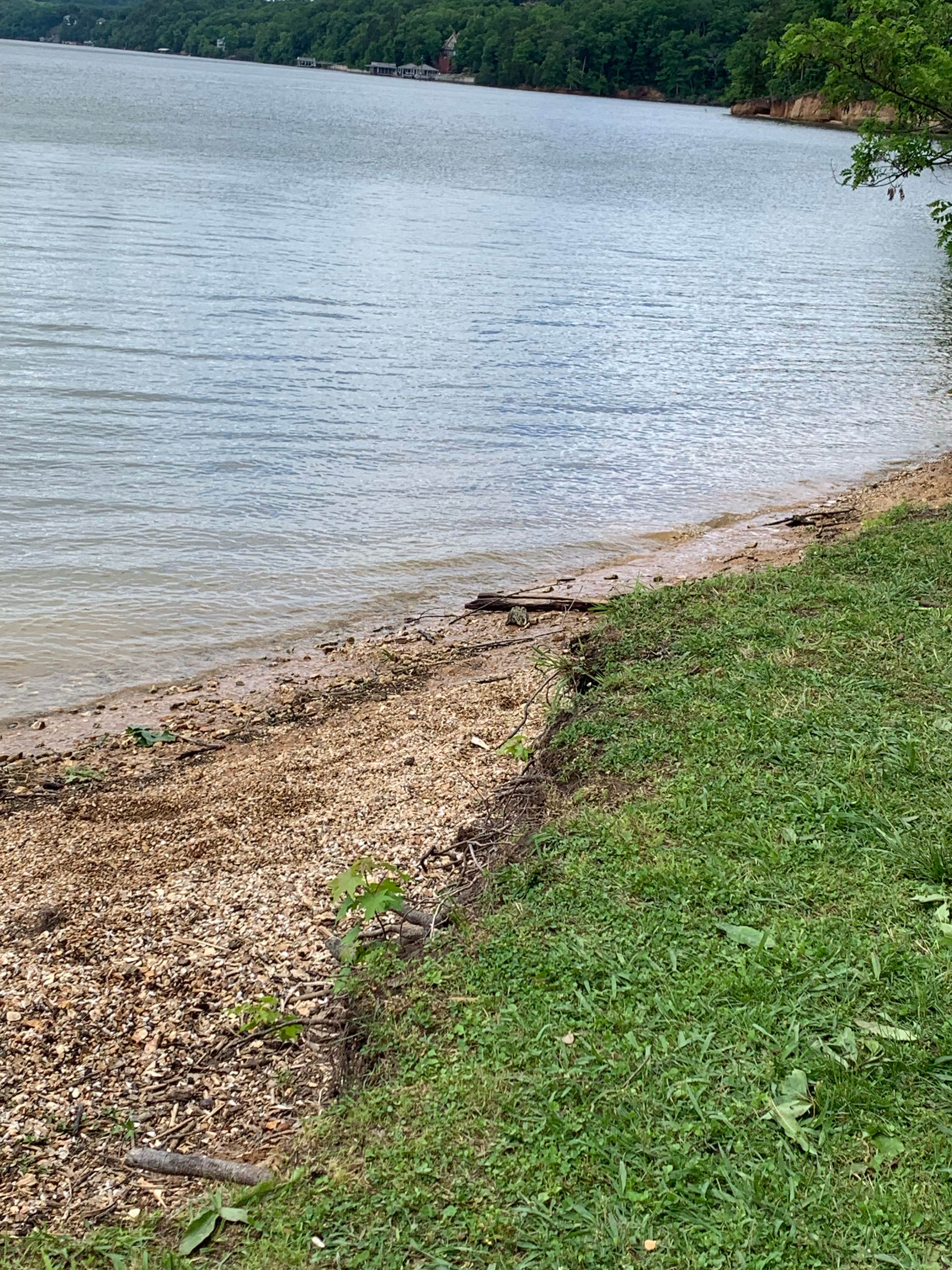 Camper submitted image from Bruton Branch Recreation Area Campground — Pickwick Landing State Park - 4