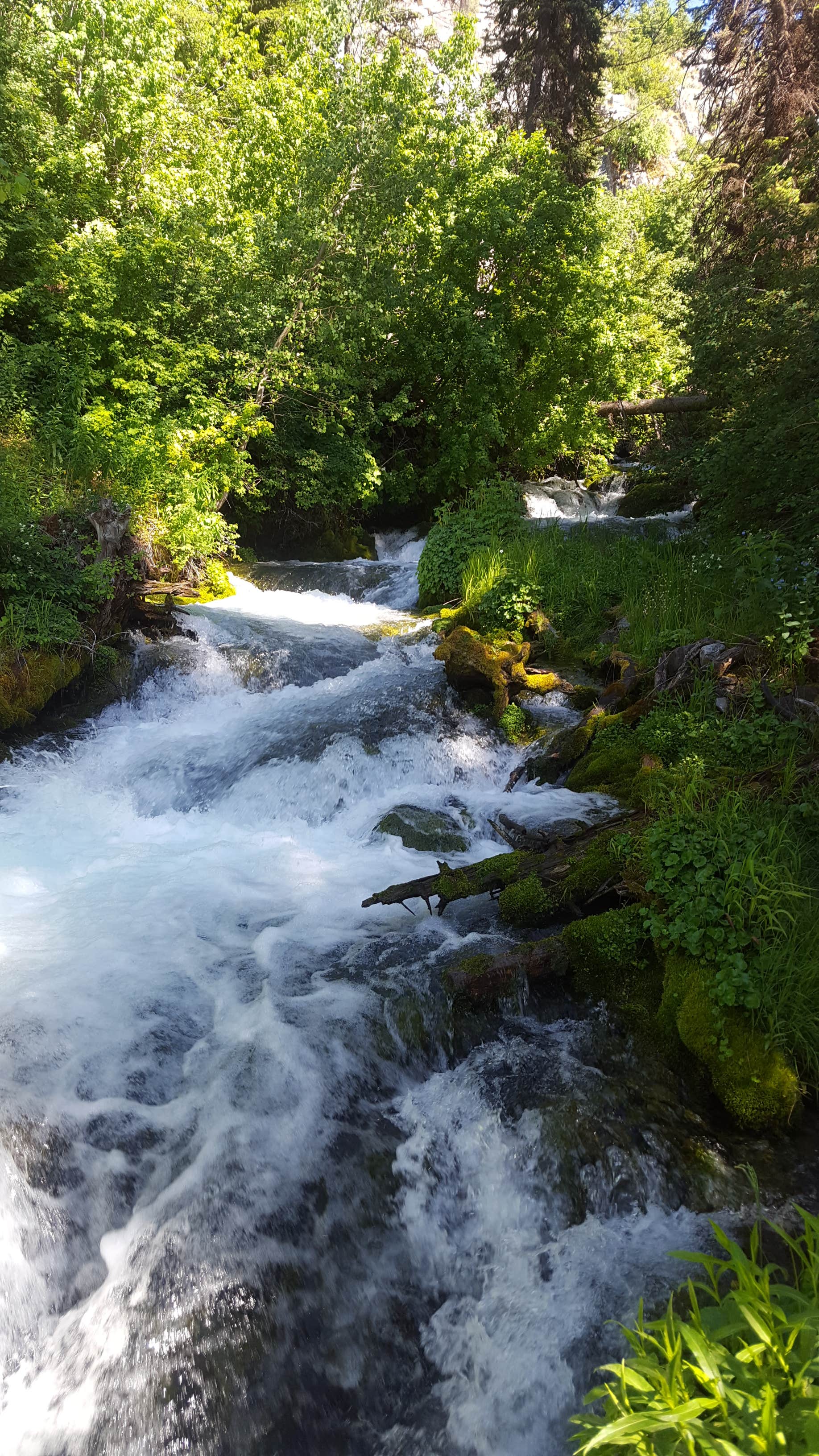 Camper submitted image from Willow Flat Campground - 3