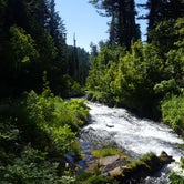 Review photo of Willow Flat Campground by Kassidy S., April 20, 2021