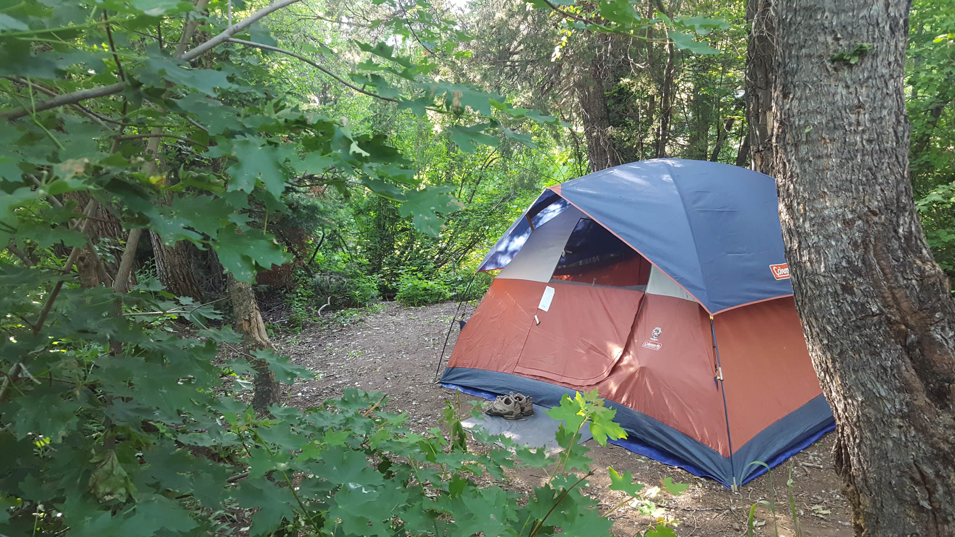 Camper submitted image from Willow Flat Campground - 5