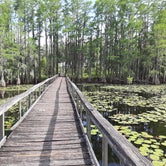 Review photo of Suwannee River Rendezvous Resort and Campground by Andrew B., April 20, 2021