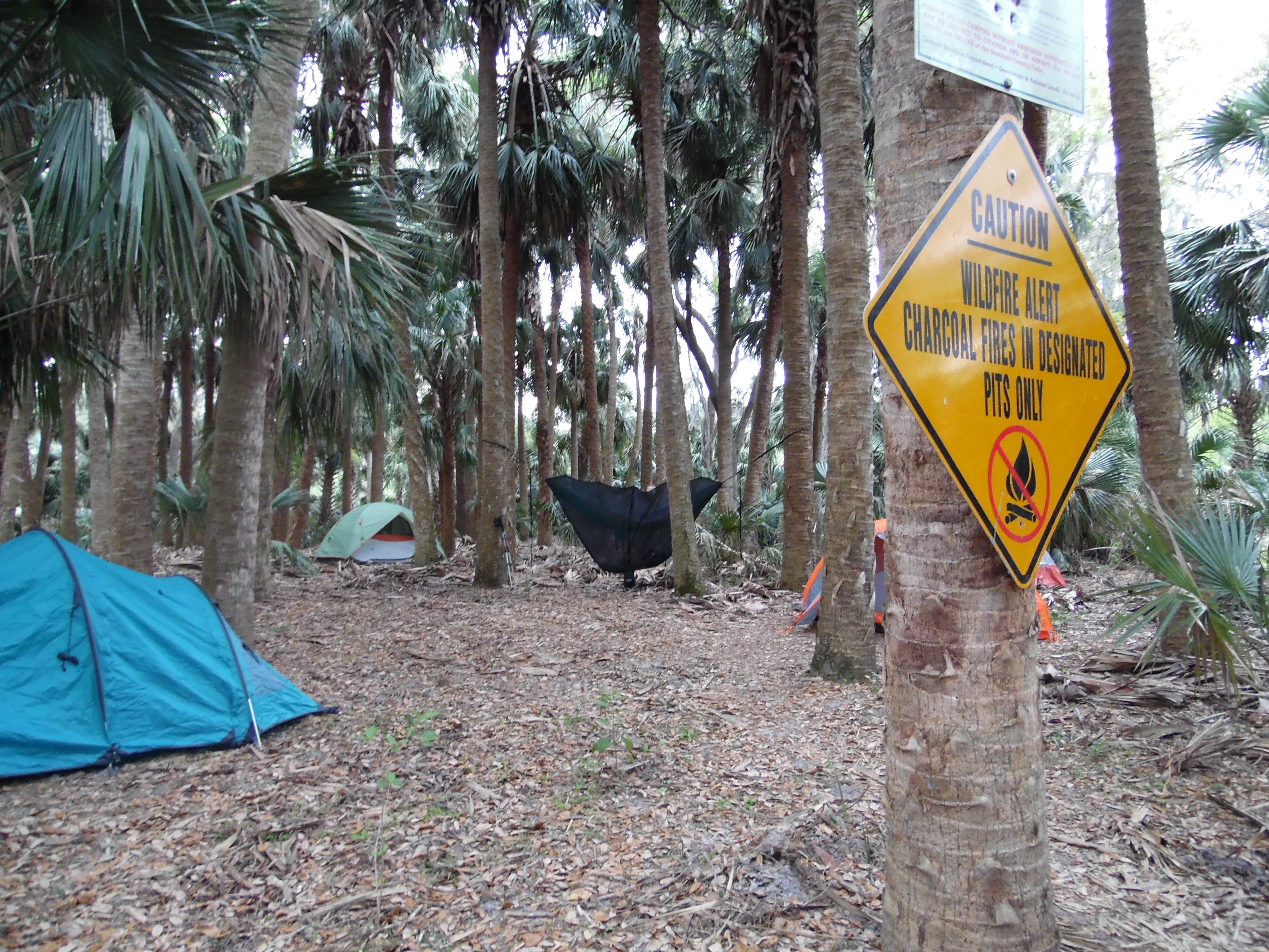 Camper submitted image from Black Bear Wilderness Area - 4