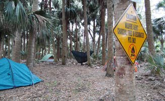 Jeanene A.'s photo at Black Bear Wilderness Area near Orange City, FL