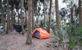 Jeanene A.'s photo of tent camping at Black Bear Wilderness Area near Ponce Inlet, FL