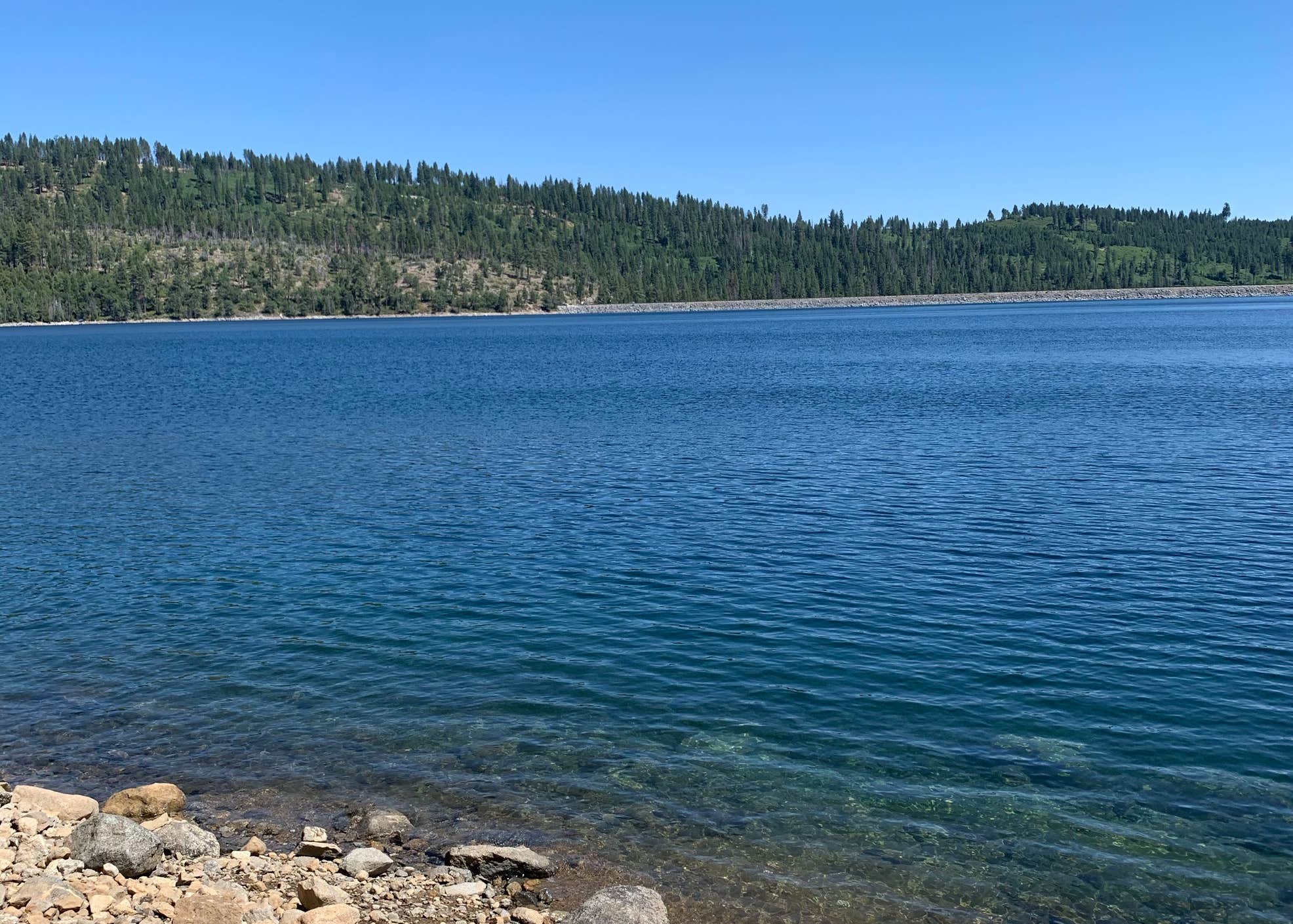 Stanislaus National Forest Cherry Valley Campground Camping The Dyrt