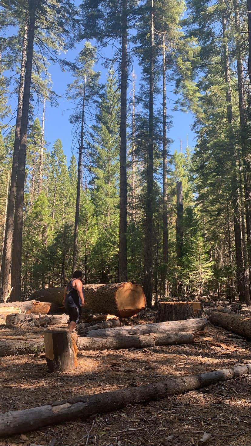 Stanislaus National Forest Cherry Valley Campground The Dyrt