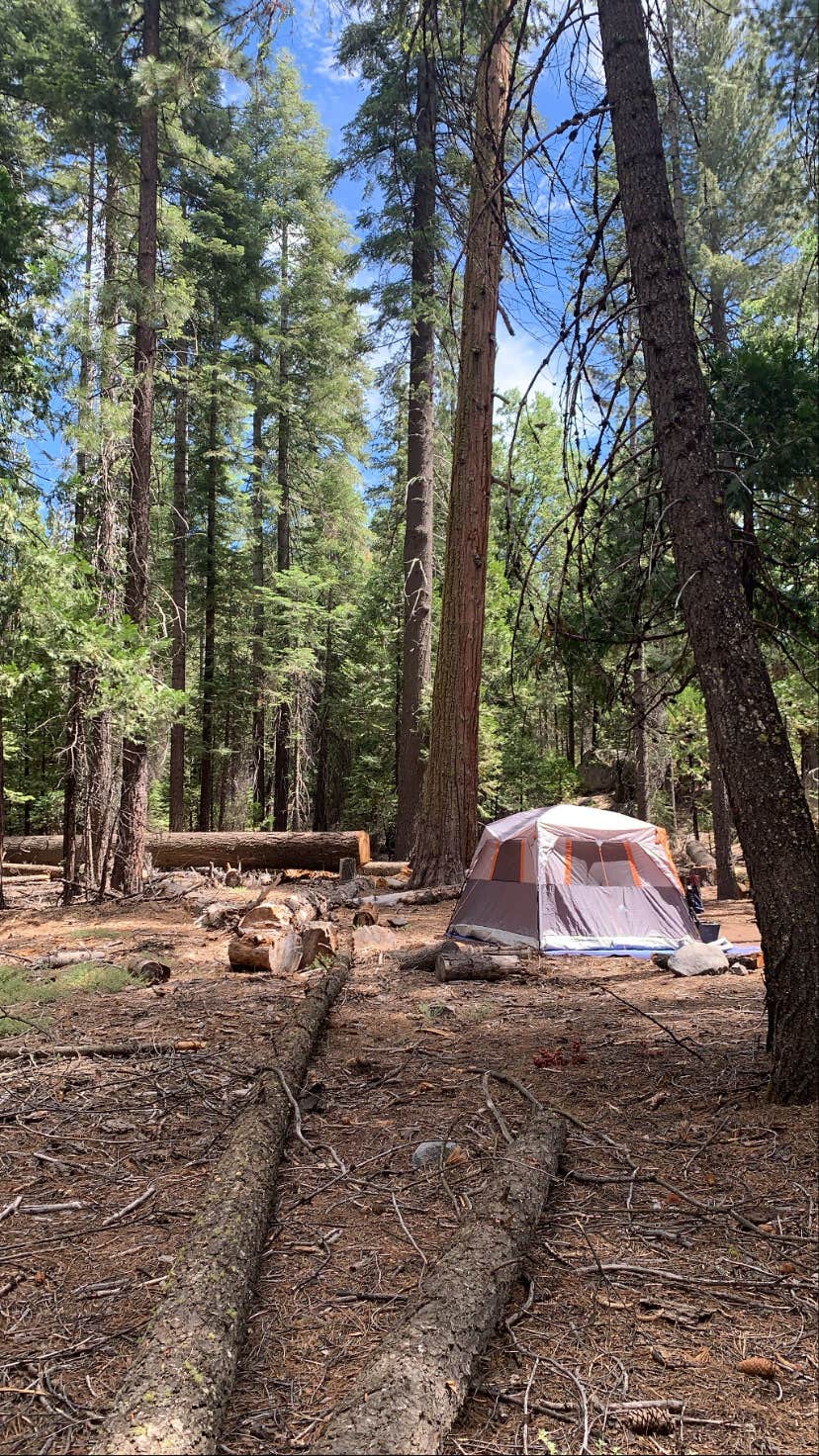Camper submitted image from Cherry Valley - TEMPORARILY CLOSED - 4