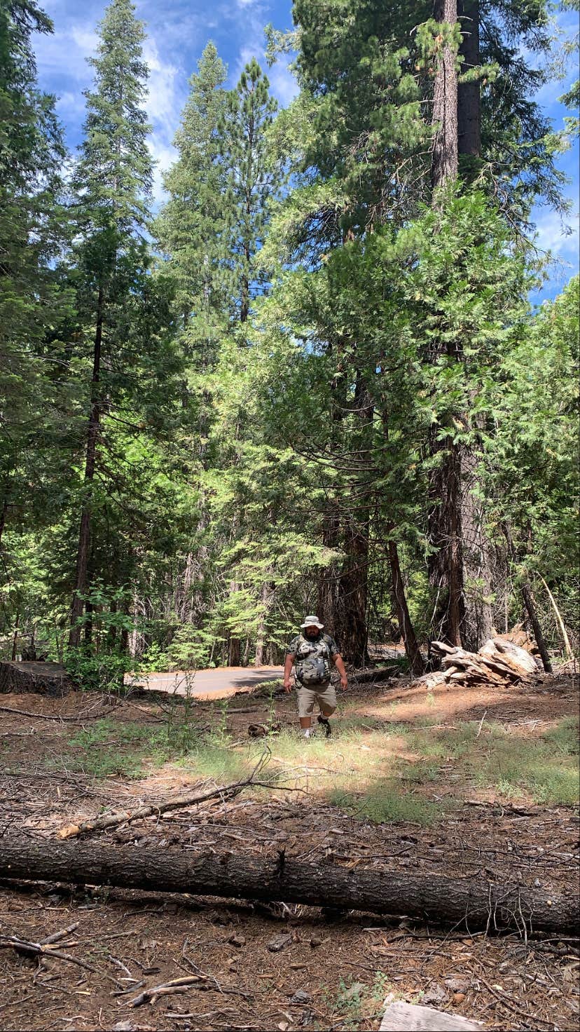 Camper submitted image from Cherry Valley - TEMPORARILY CLOSED - 3