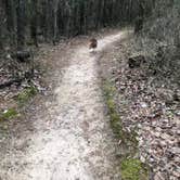 Review photo of Petit Jean State Park — Petit Jean State Park by Lori C., April 20, 2021
