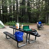 Review photo of Grant Village Campground — Yellowstone National Park by Emily M., April 20, 2021