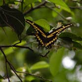 Review photo of Black Bear Wilderness Area by Jeanene A., June 1, 2018