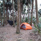 Review photo of Black Bear Wilderness Area by Jeanene A., June 1, 2018