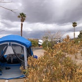 Review photo of Echo Bay Lower Campground — Lake Mead National Recreation Area by Sadie B., April 20, 2021