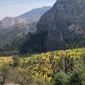 Review photo of Mt. Charleston Dispersed by Sadie B., April 20, 2021