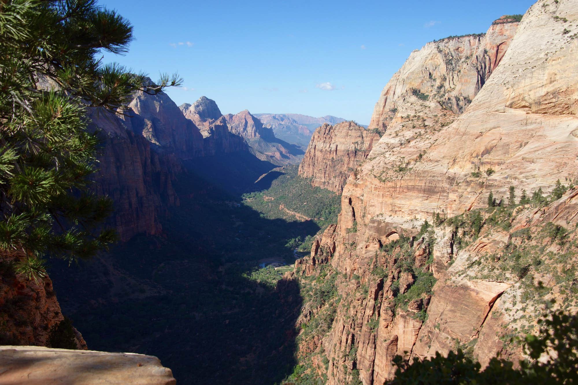 Camper submitted image from Sheep Bridge BLM Area (Hurricane Cliffs Trail System) - Utah - 2