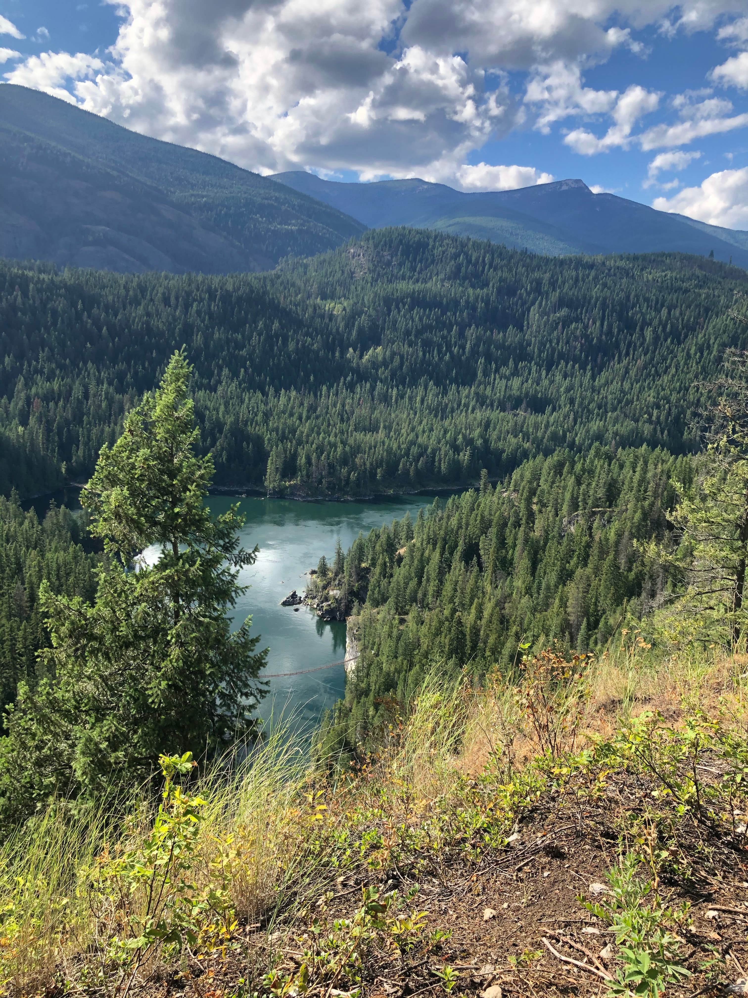 Best Camping In Colville National Forest The Dyrt