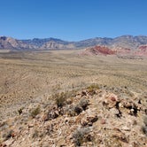 Review photo of Red Rock Canyon National Conservation Area - Red Rock Campground by Tyler S., April 20, 2021