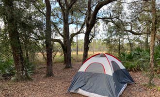 Camping near Colt Creek State Park Campground: Foster Bridge Primitive Site Green Swamp West, Dade City, Florida