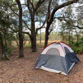 Review photo of Foster Bridge Primitive Site Green Swamp West by Anthony E., April 20, 2021