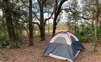 Anthony E.'s photo of tent camping at Foster Bridge Primitive Site Green Swamp West near Tampa, FL