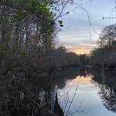 Review photo of Foster Bridge Primitive Site Green Swamp West by Anthony E., April 20, 2021