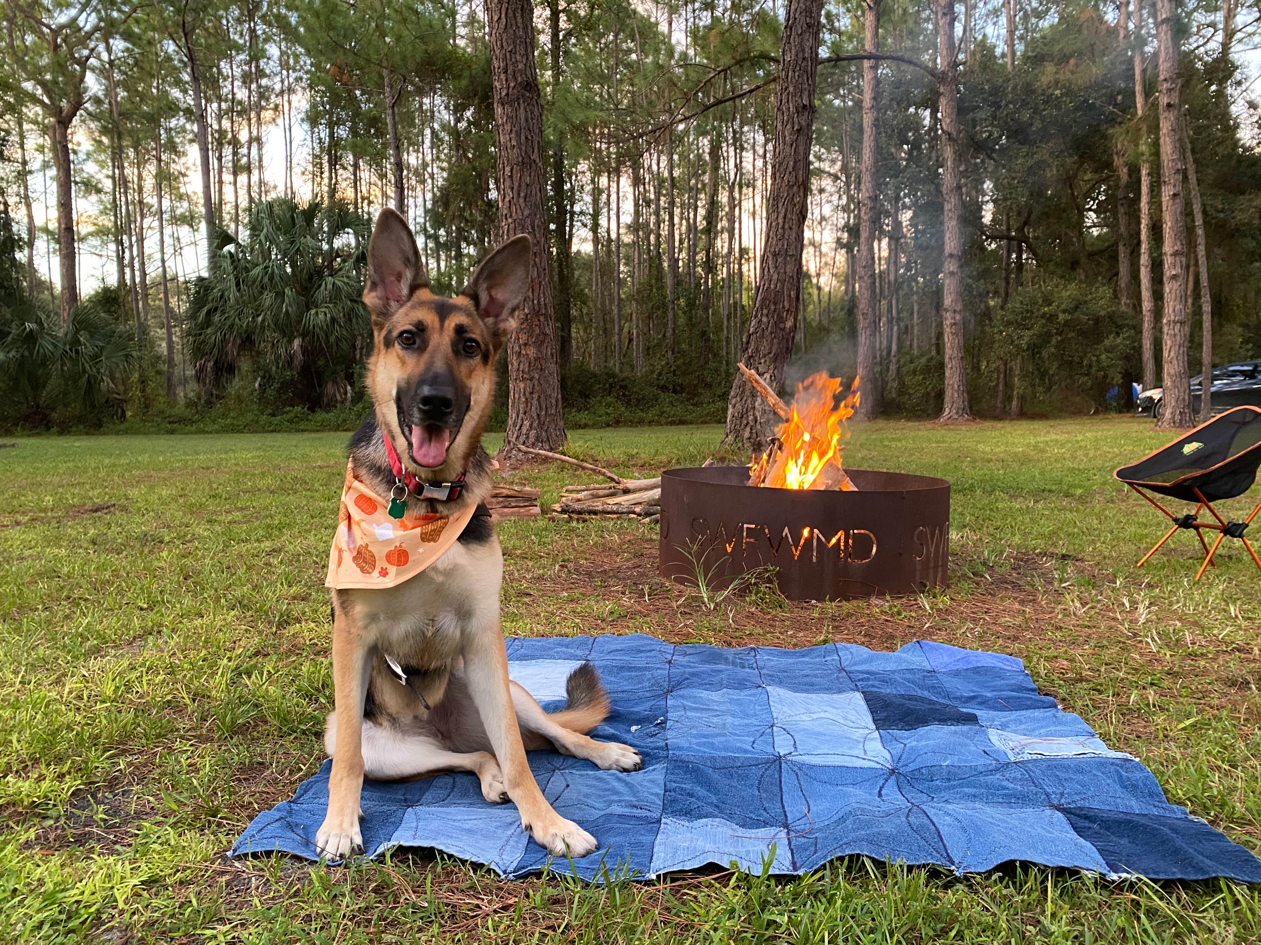 Anthony E.'s photo of camping with pets at Potts Preserve - River Primitive Campground (North Hooty Point Road) near Holder, FL