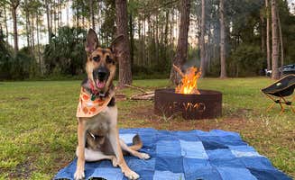 Anthony E.'s photo of camping with pets at Potts Preserve - River Primitive Campground (North Hooty Point Road) near Nobleton, FL